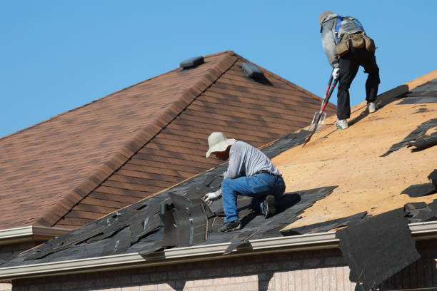 Best Solar Panel Roofing Installation  in Washington, IL